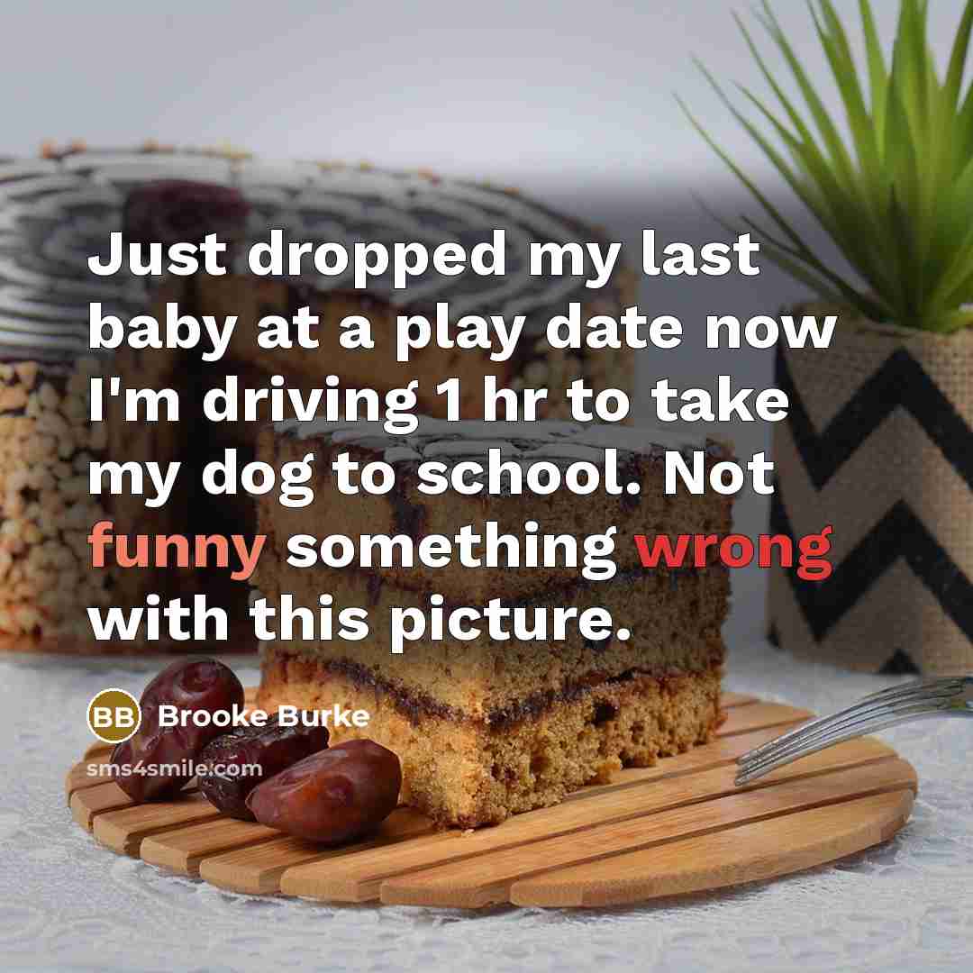 “Just dropped my last baby at a play date now…” quote by Brooke Burke