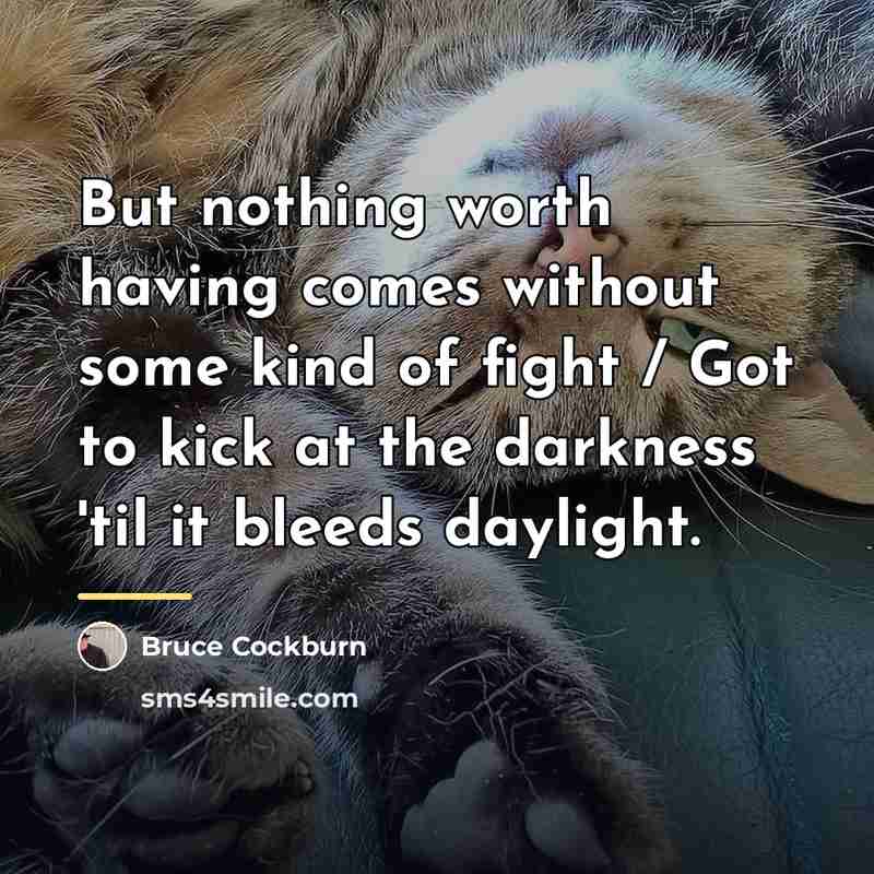 “But nothing worth having comes without some kind of fight…” quote by Bruce Cockburn