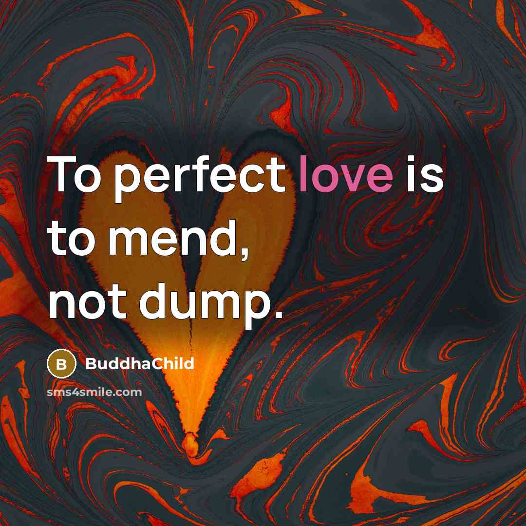 “To perfect love is to mend, not dump.…” quote by BuddhaChild