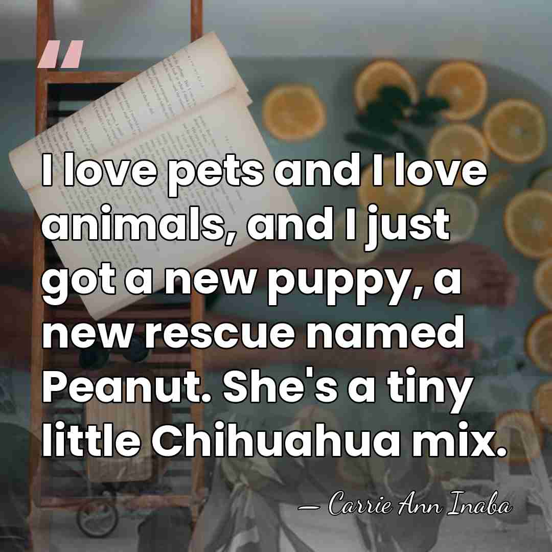 I love pets and I love animals, and I just got a&hellip; - Carrie Ann Inaba