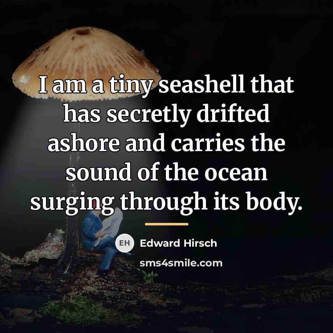“I am a tiny seashell that has secretly drifted ashore…” quote by Edward Hirsch