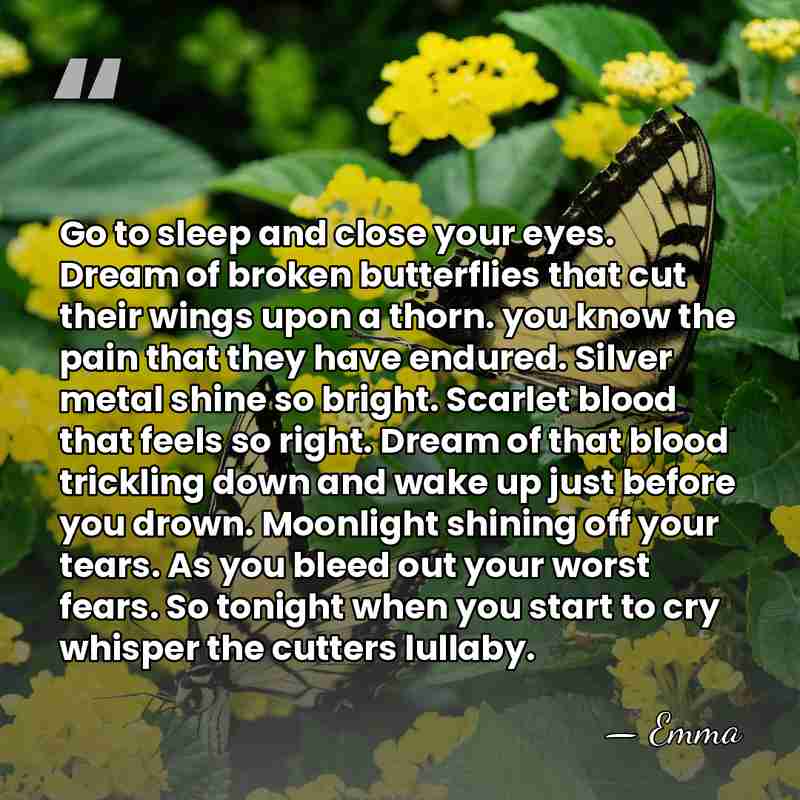 Go to sleep and close your eyes. Dream of broken butterflies that&hellip; - Emma