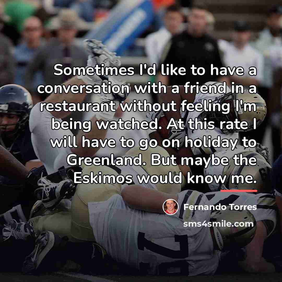 “Sometimes I'd like to have a conversation with a friend…” quote by Fernando Torres