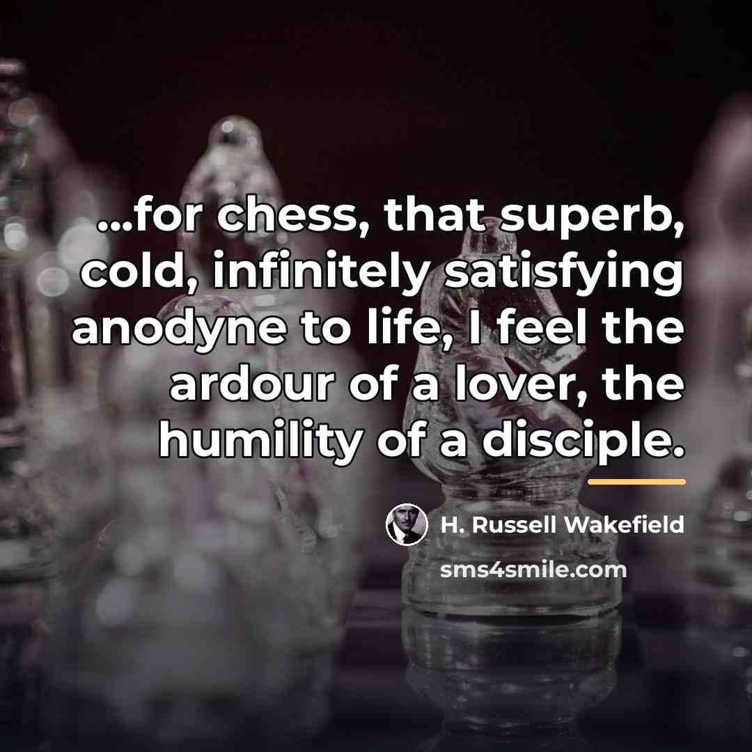 “...for chess, that superb, cold, infinitely satisfying anodyne to life,…” quote by Anonymous