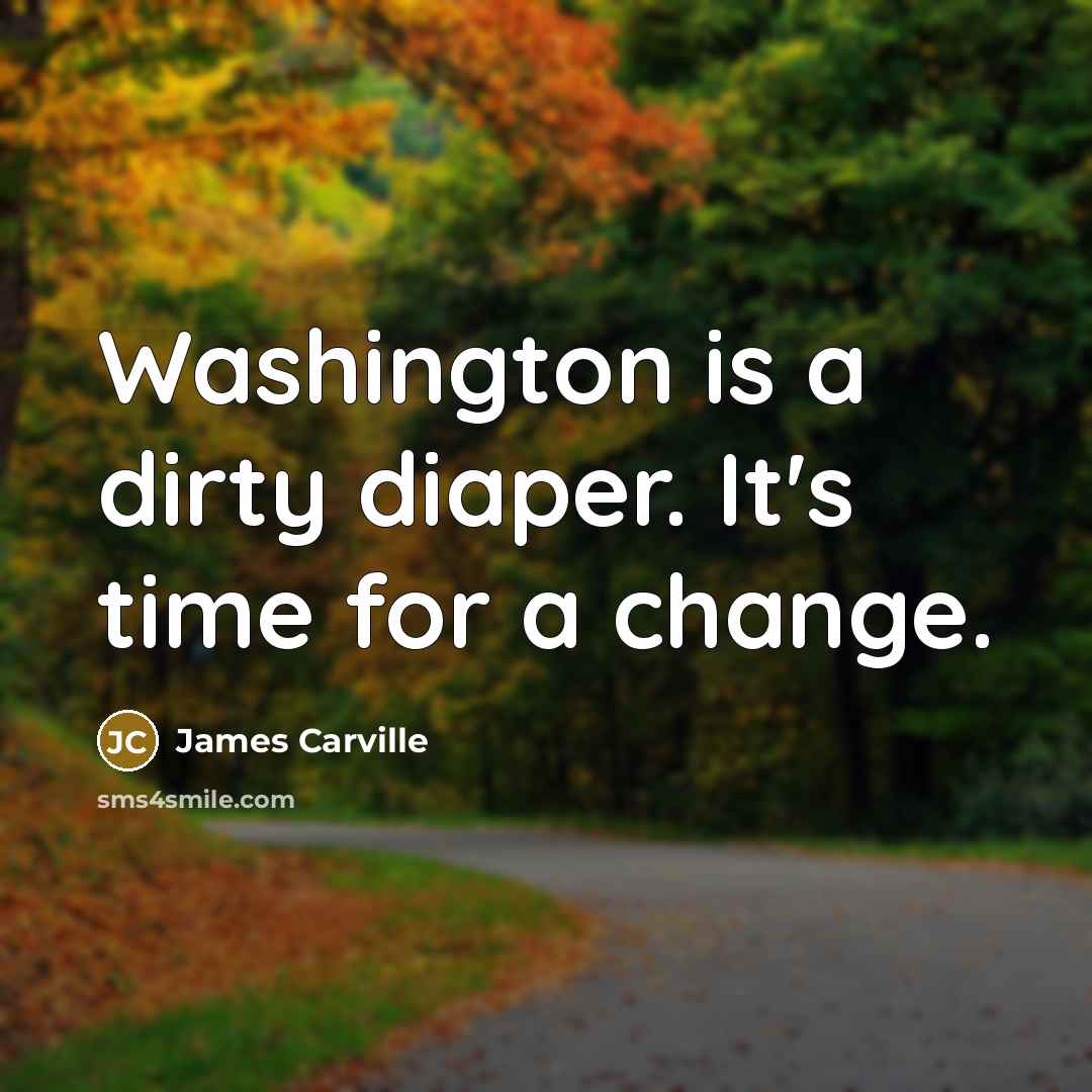 “Washington is a dirty diaper. It's time for a change.…” quote by James Carville