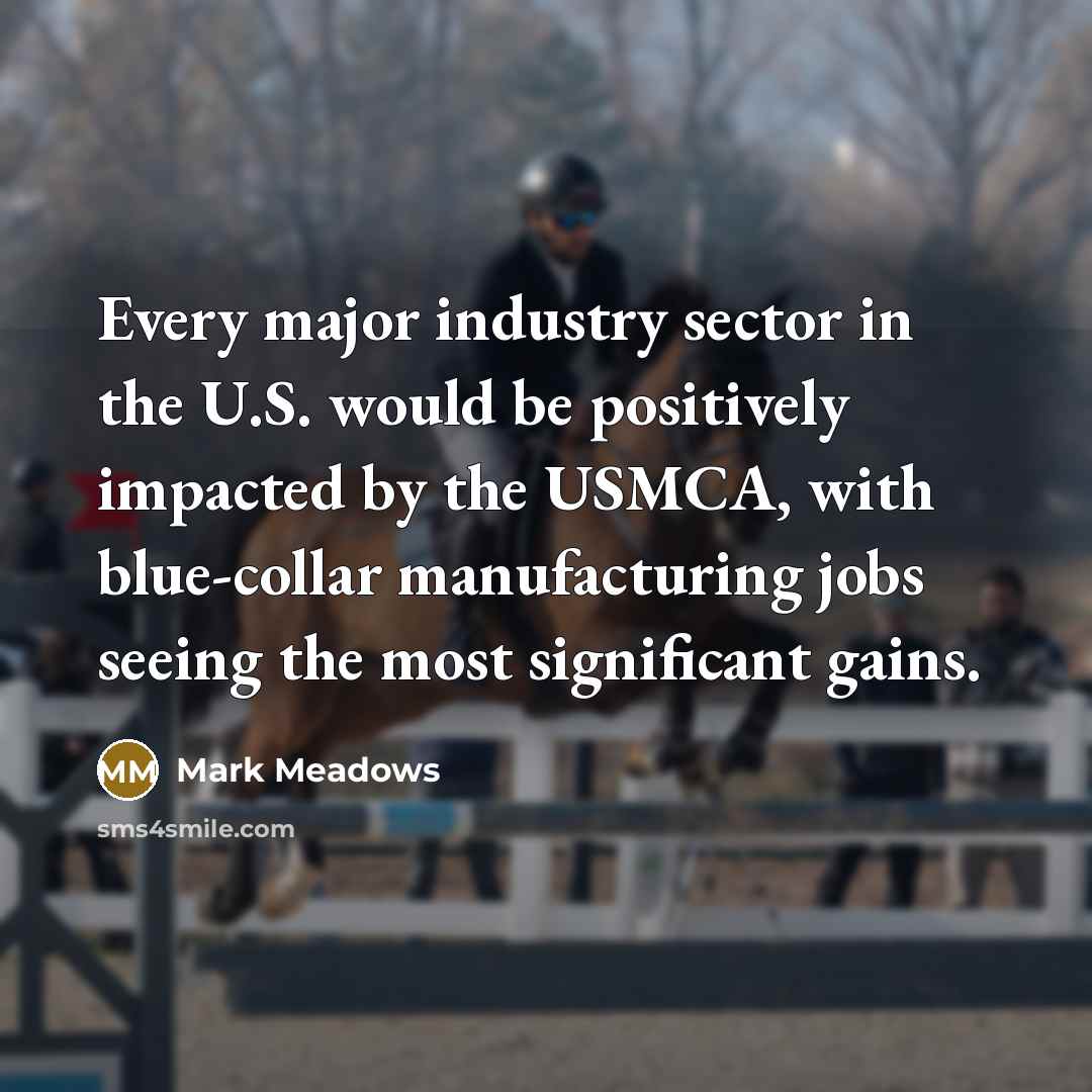 “Every major industry sector in the U.S. would be positively…” quote by Mark Meadows