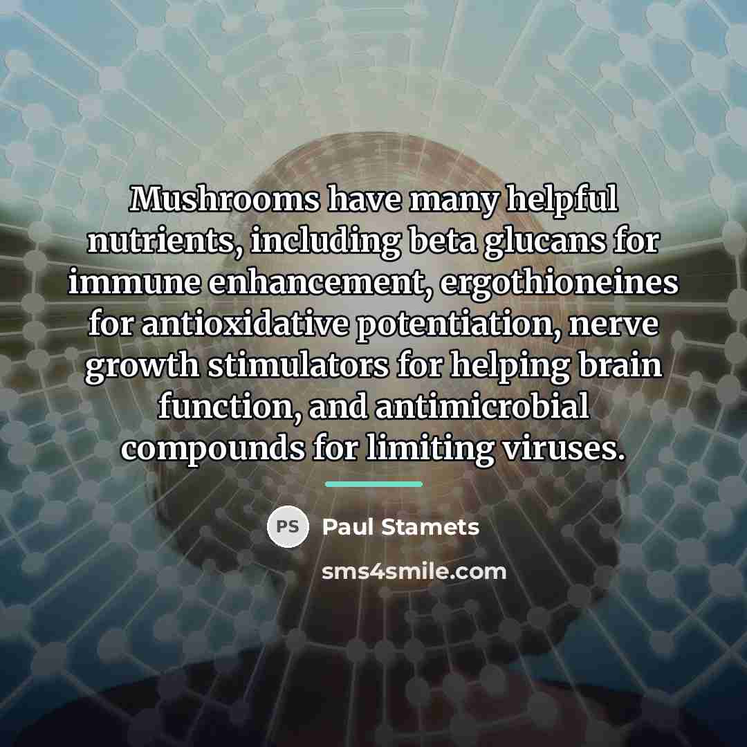 “Mushrooms have many helpful nutrients, including beta glucans for immune…” quote by Paul Stamets