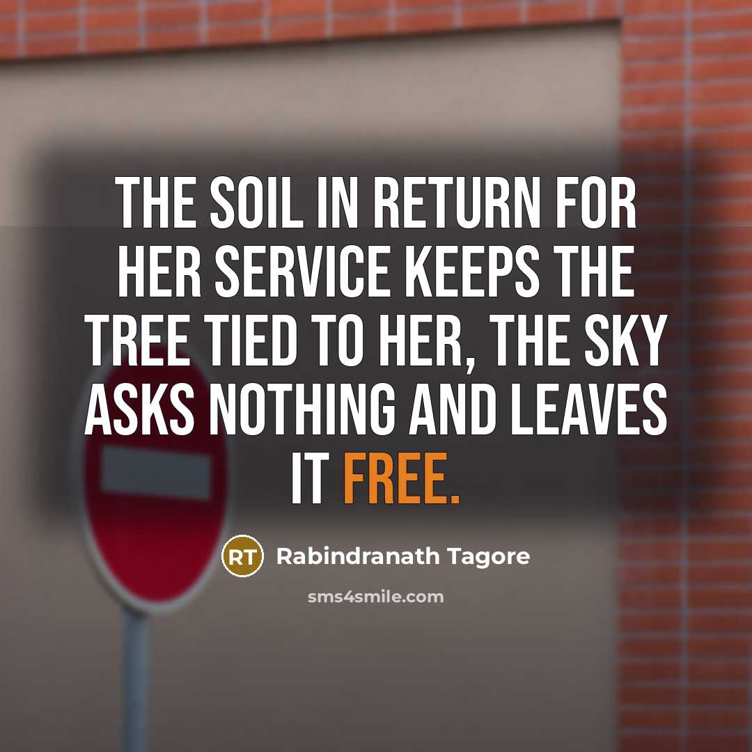 “The soil in return for her service keeps the tree tied to her, the sky asks nothing and leaves it free.” quote by Rabindranath Tagore