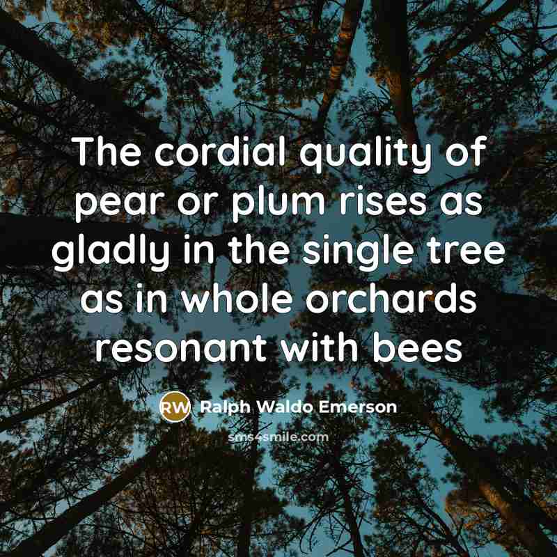 “The cordial quality of pear or plum rises as gladly in the single tree as in whole orchards resonant with bees” quote by Ralph Waldo Emerson