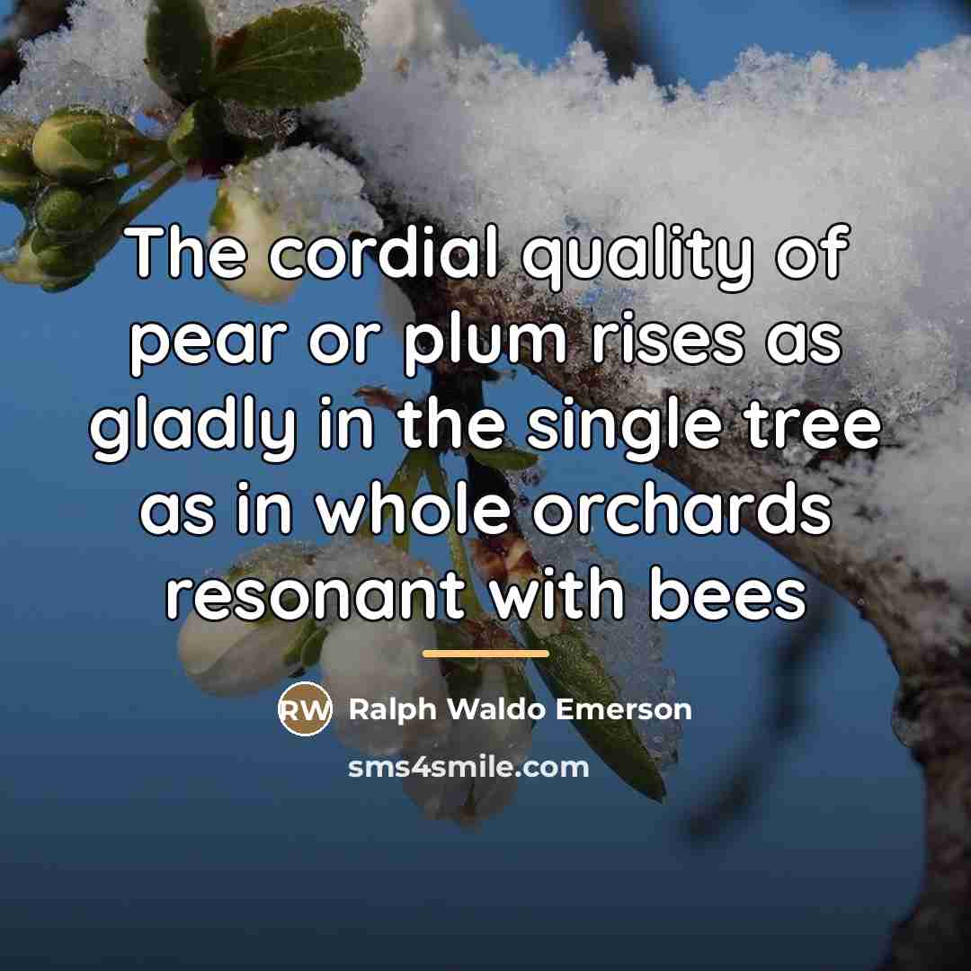 “The cordial quality of pear or plum rises as gladly…” quote by Ralph Waldo Emerson