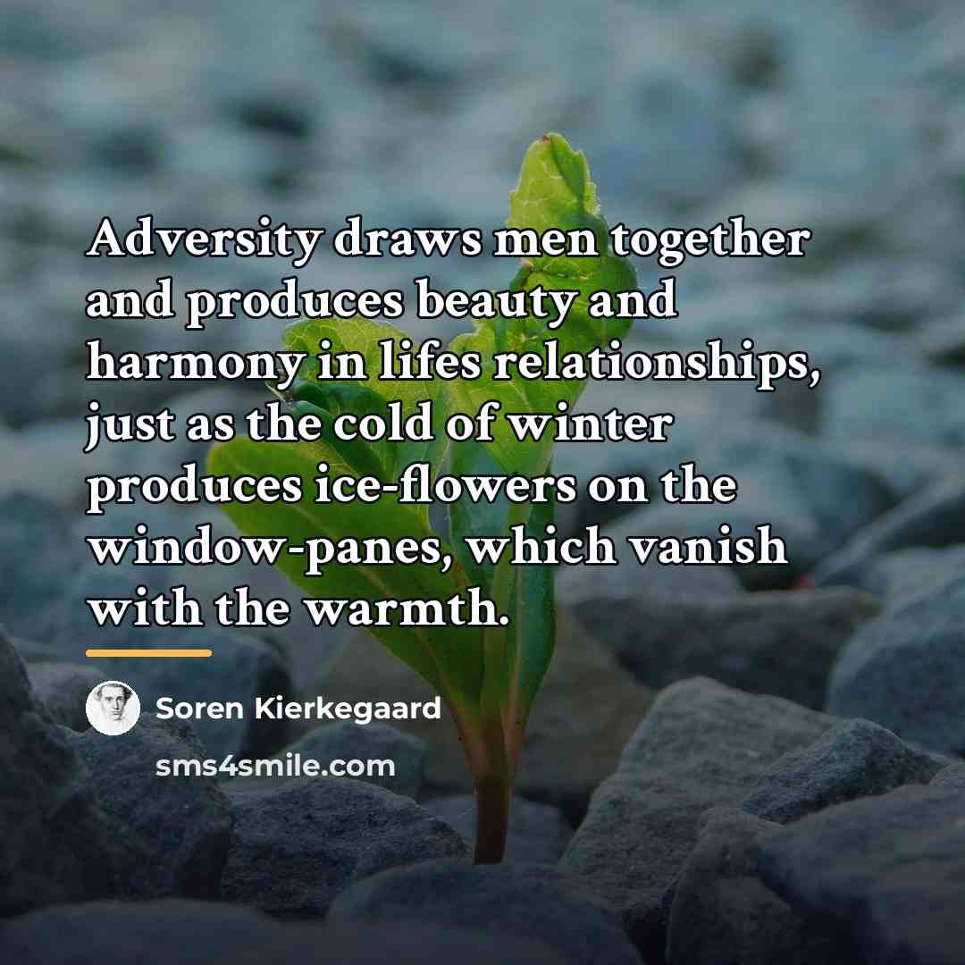 “Adversity draws men together and produces beauty and harmony in…” quote by Soren Kierkegaard