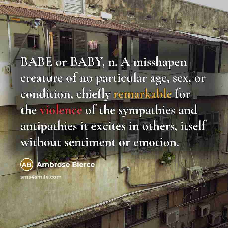 “BABE or BABY, n. A misshapen creature of no particular…” quote by Ambrose Bierce