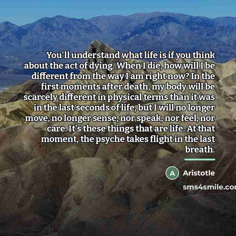 “You'll understand what life is if you think about the…” quote by Aristotle