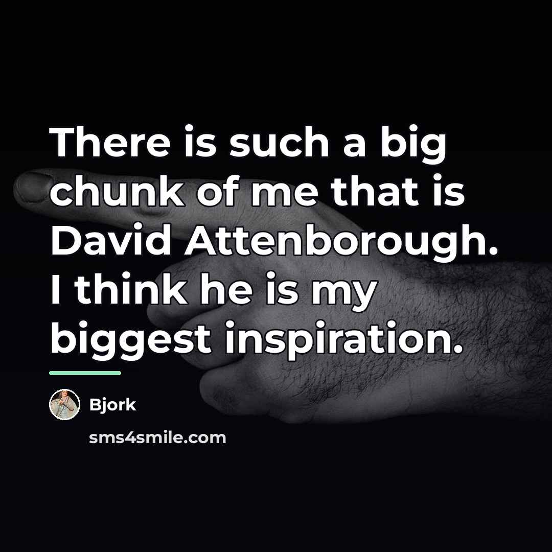“There is such a big chunk of me that is…” quote by Bjork
