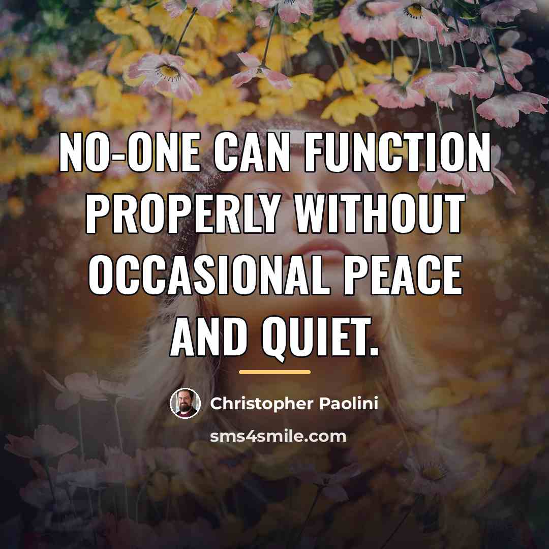 “No-one can function properly without occasional peace and quiet.…” quote by Christopher Paolini