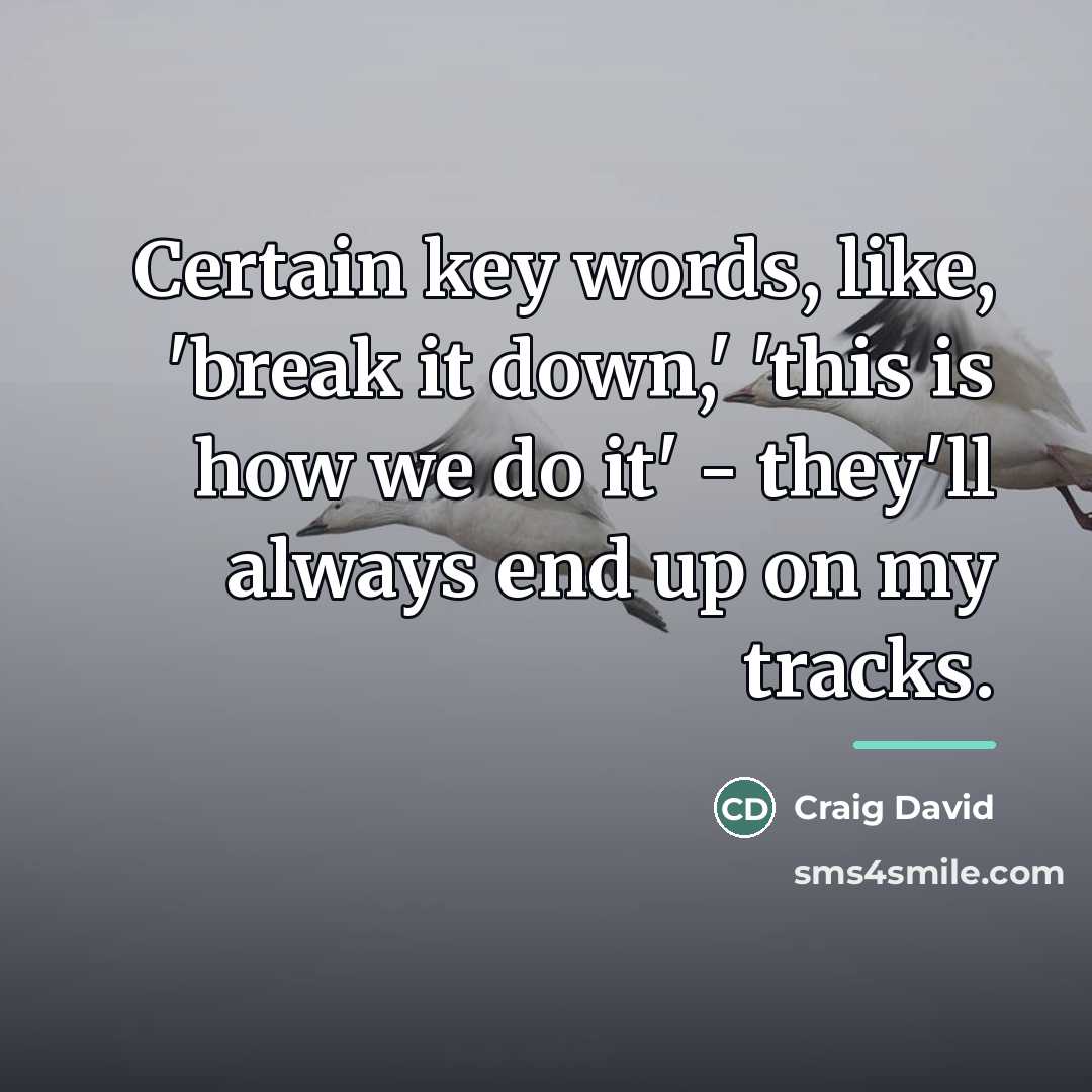 “Certain key words, like, 'break it down,' 'this is how…” quote by Craig David
