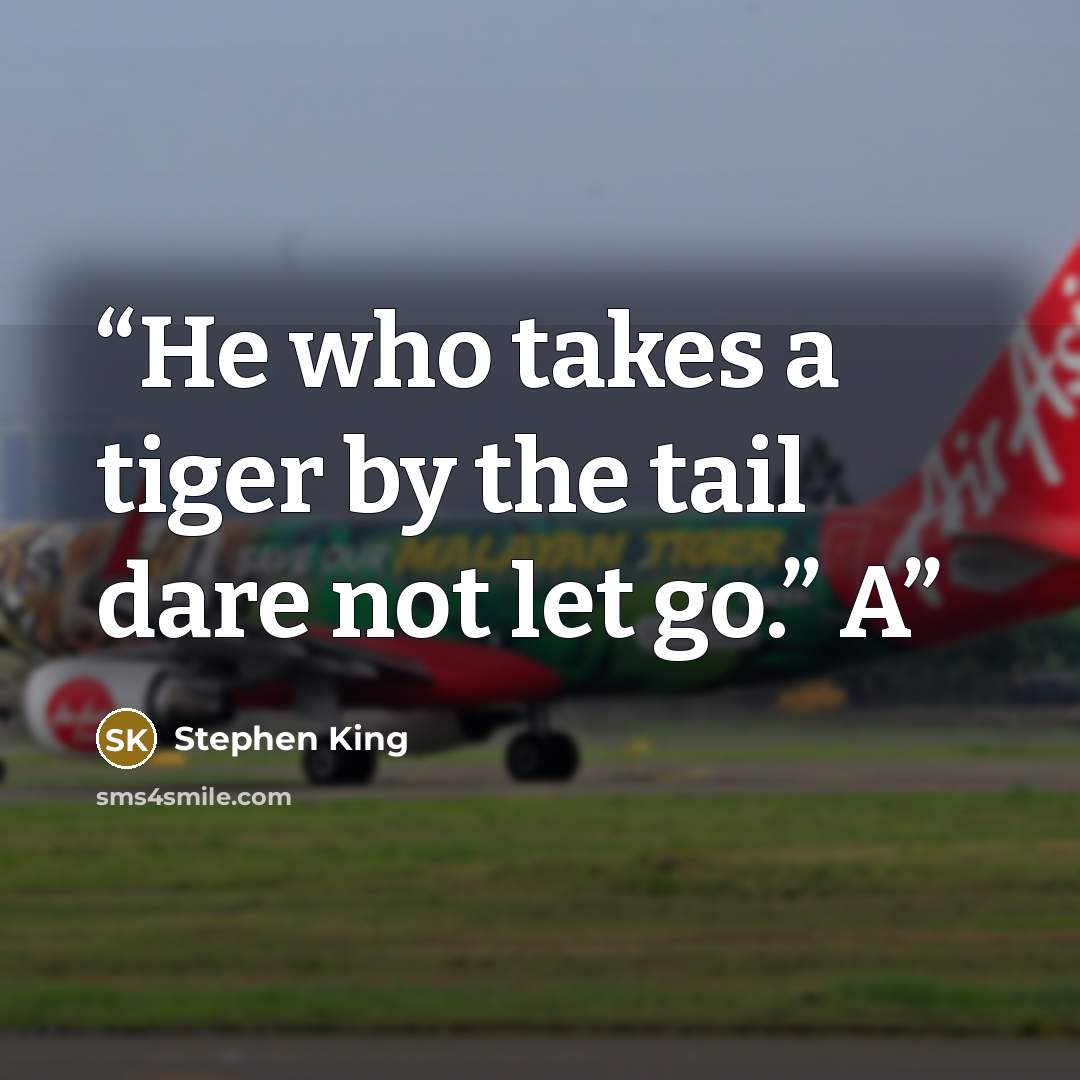 “He who takes a tiger by the tail dare not let go.” A” quote by Stephen King