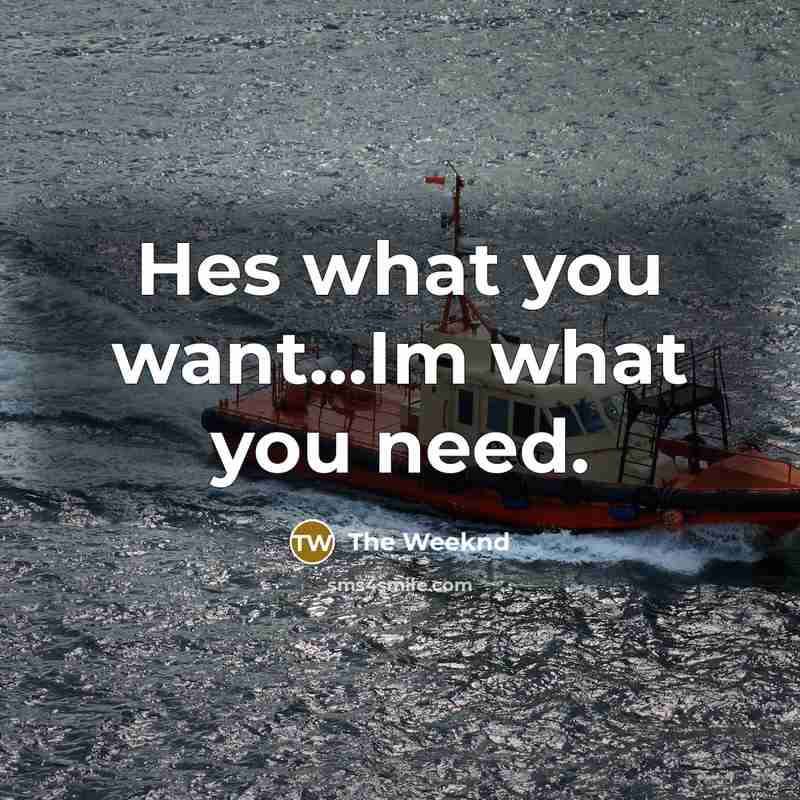 “Hes what you want...Im what you need.” quote by The Weeknd