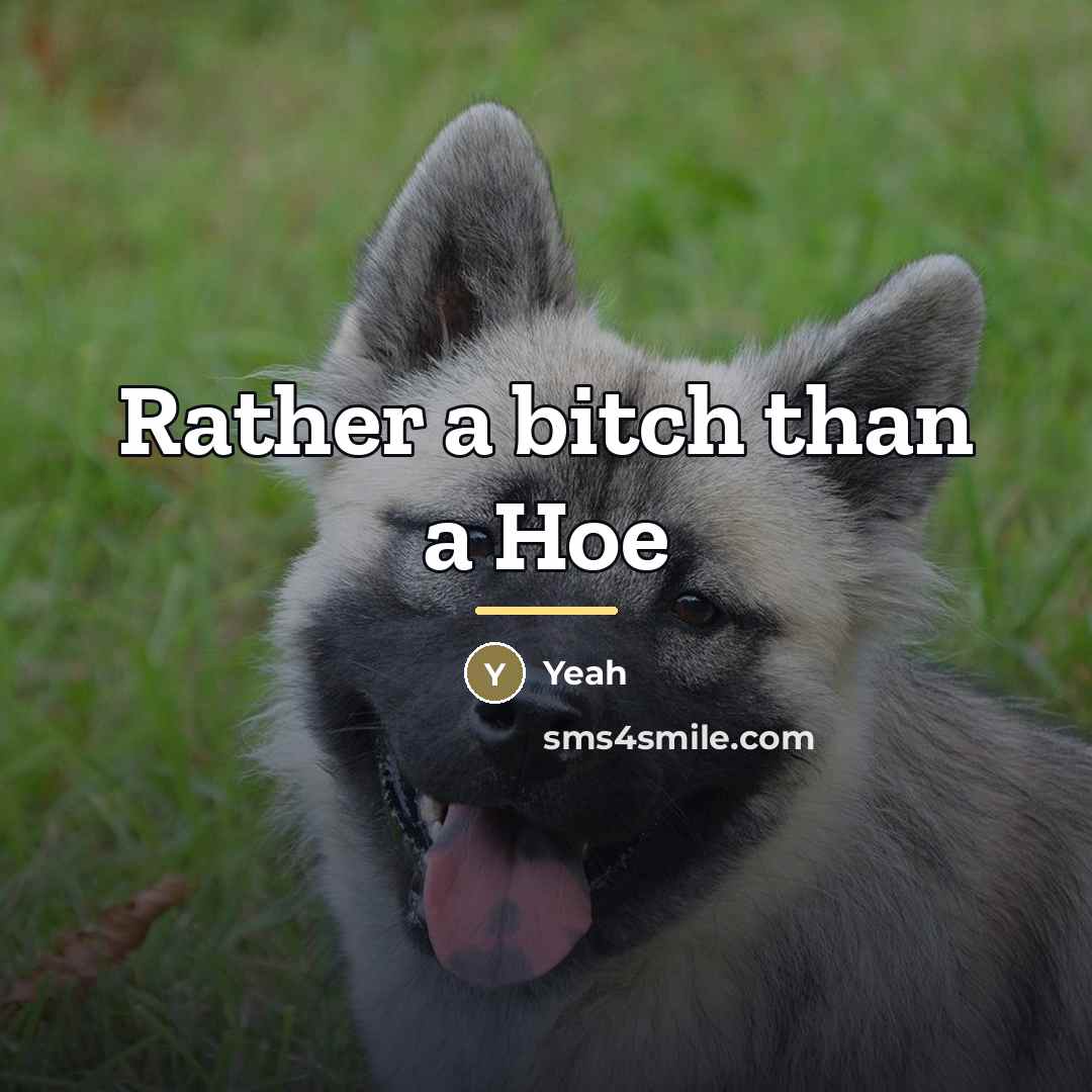 “Rather a bitch than a Hoe…” quote by Yeah