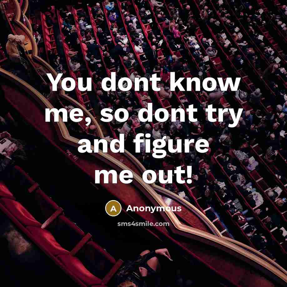 “You dont know me, so dont try and figure me out!” quote by Anonymous