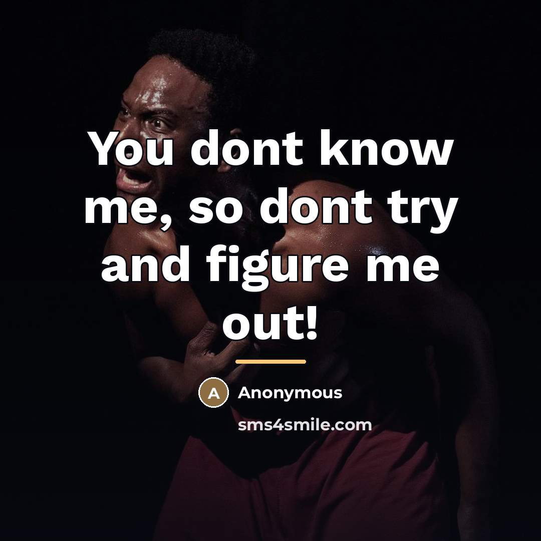 “You dont know me, so dont try and figure me…” quote by Anonymous