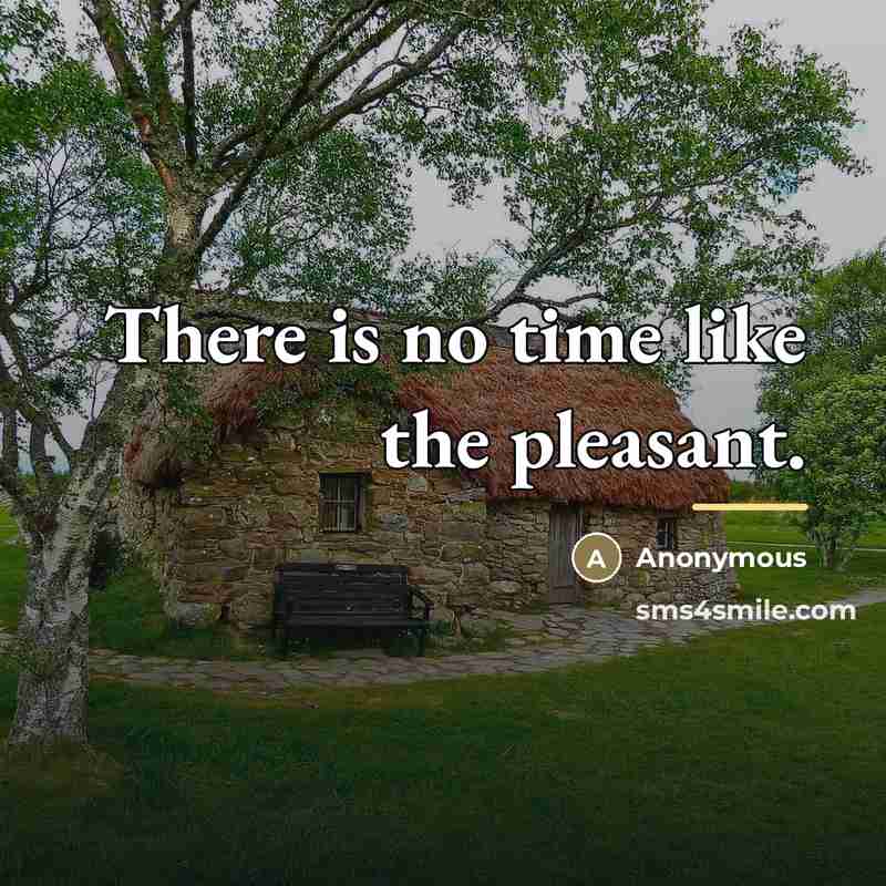 “There is no time like the pleasant.…” quote by Anonymous