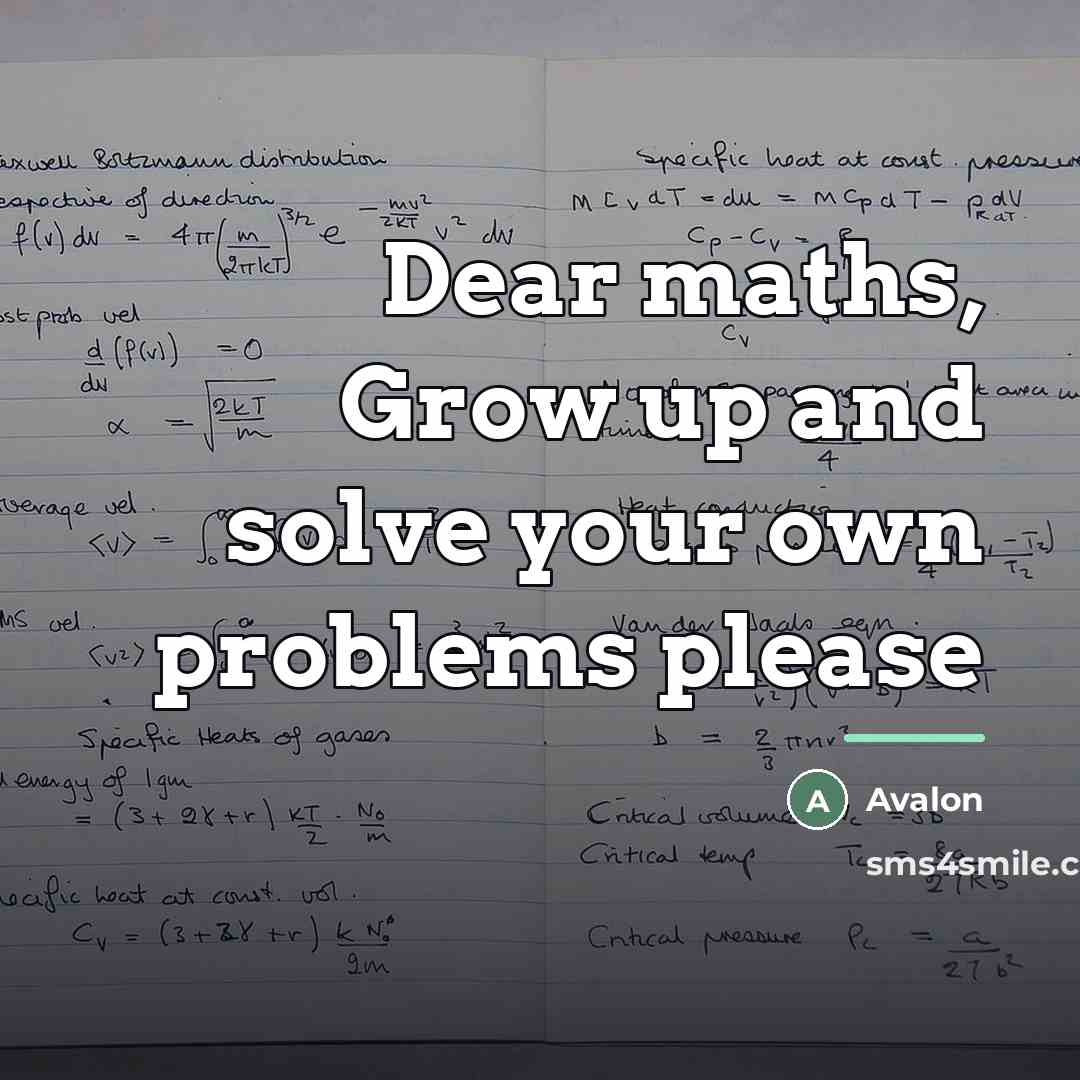 “Dear maths, Grow up and solve your own problems please…” quote by Avalon