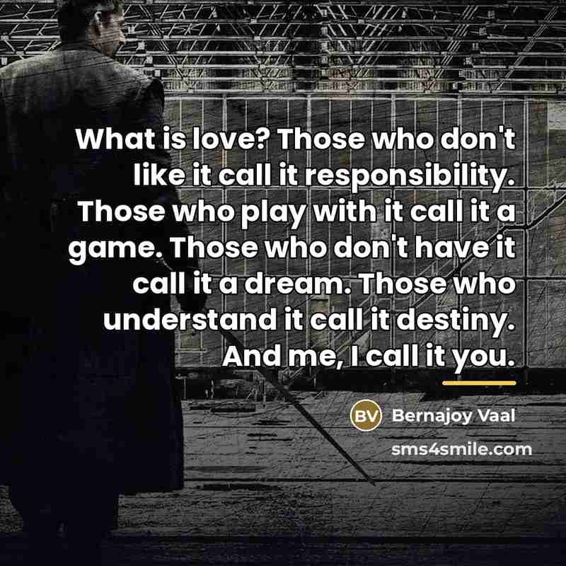 “What is love? Those who don't like it call it…” quote by Bernajoy Vaal