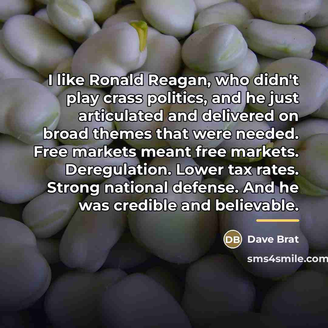 “I like Ronald Reagan, who didn't play crass politics, and…” quote by Dave Brat
