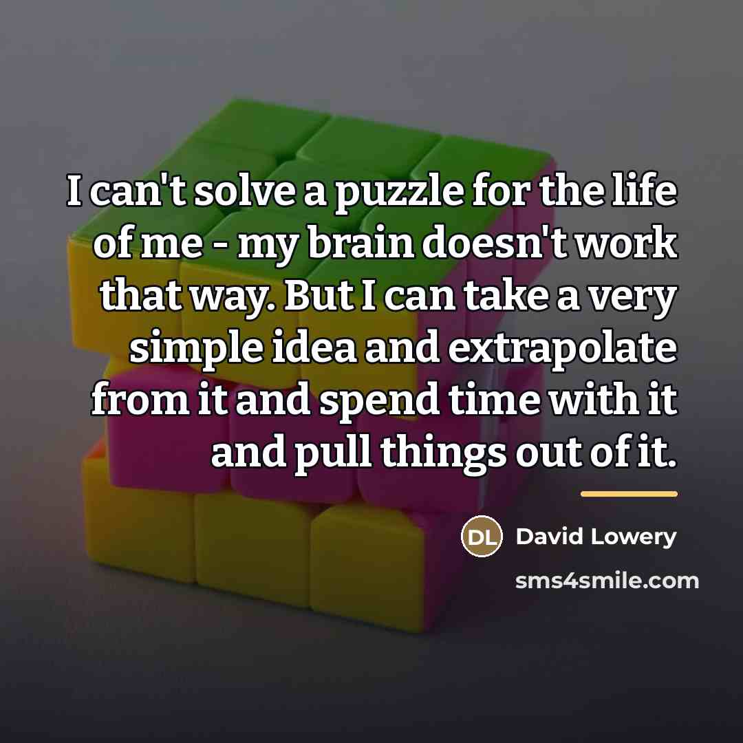 “I can't solve a puzzle for the life of me…” quote by David Lowery