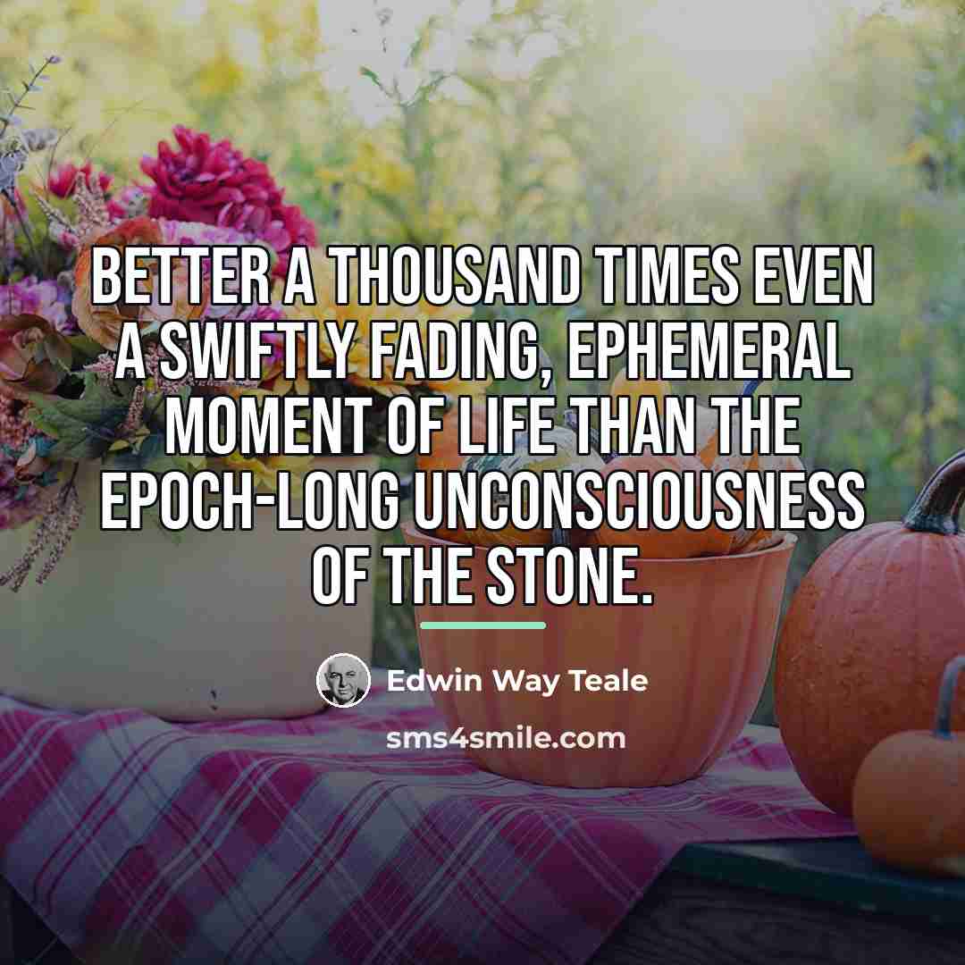 “Better a thousand times even a swiftly fading, ephemeral moment…” quote by Edwin Way Teale