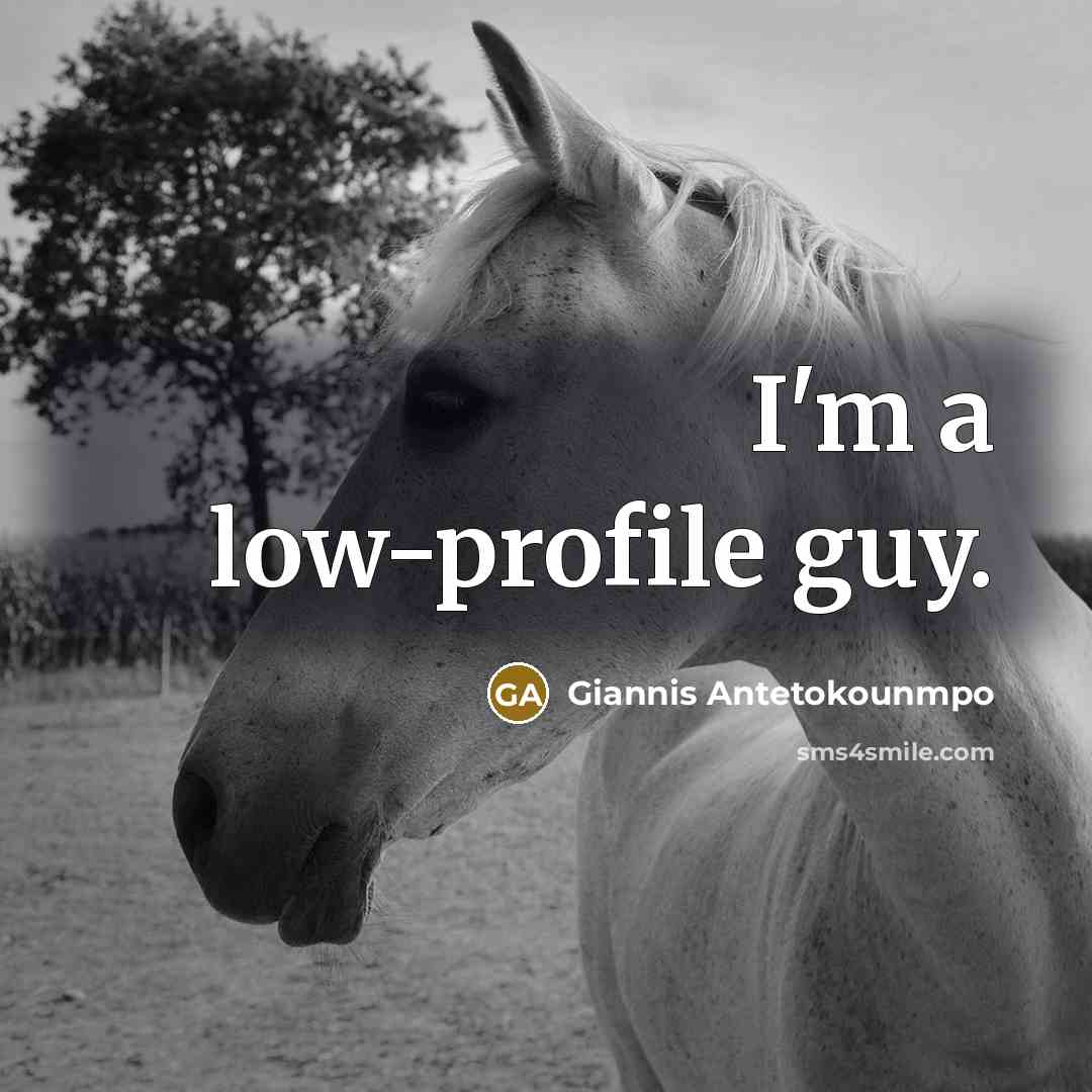 “I'm a low-profile guy.…” quote by Giannis Antetokounmpo