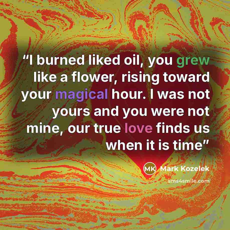 “I burned liked oil, you grew like a flower, rising toward your magical hour. I was not yours and you were not mine, our true love finds us when it is time” quote by Mark Kozelek