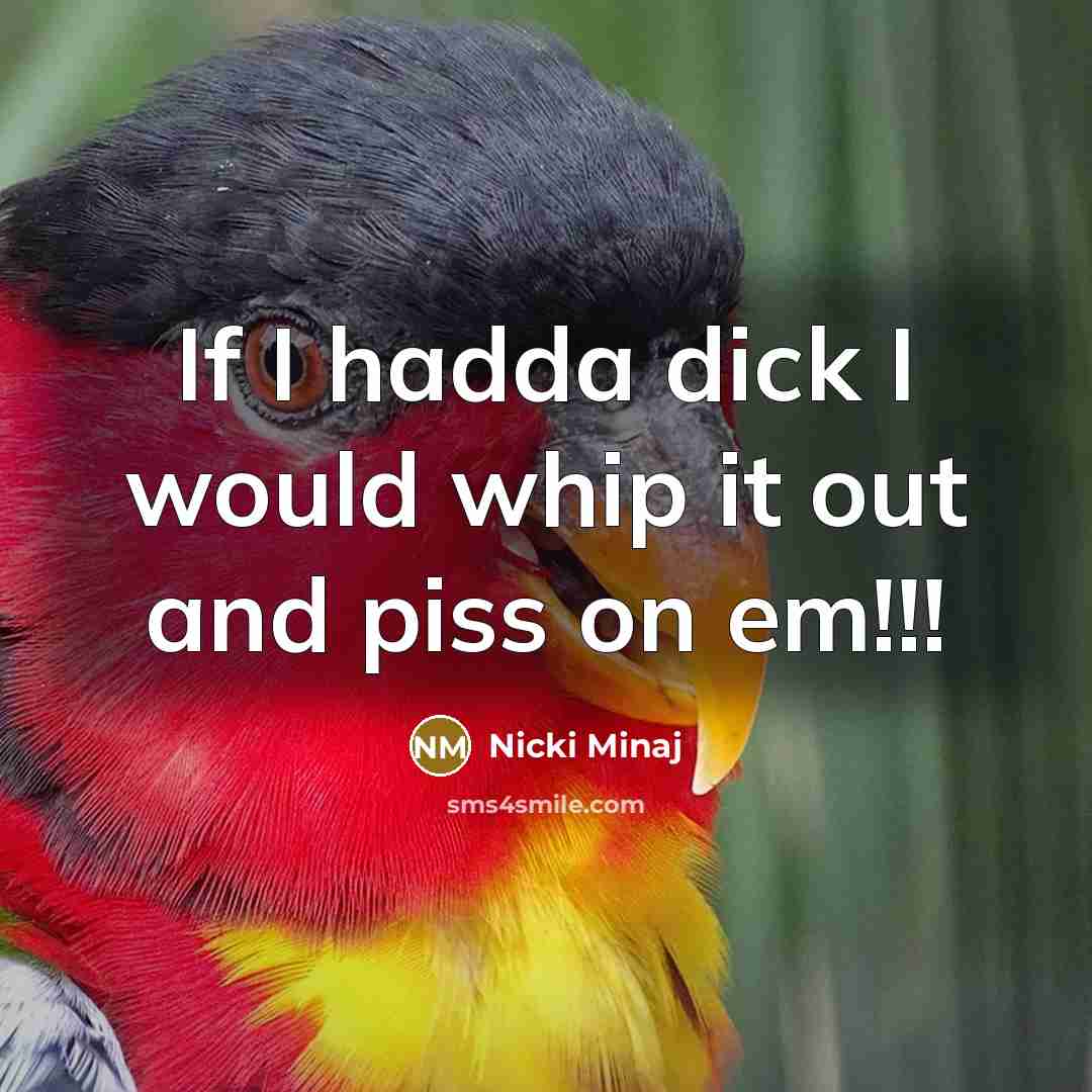 “If I hadda dick I would whip it out and…” quote by Nicki Minaj