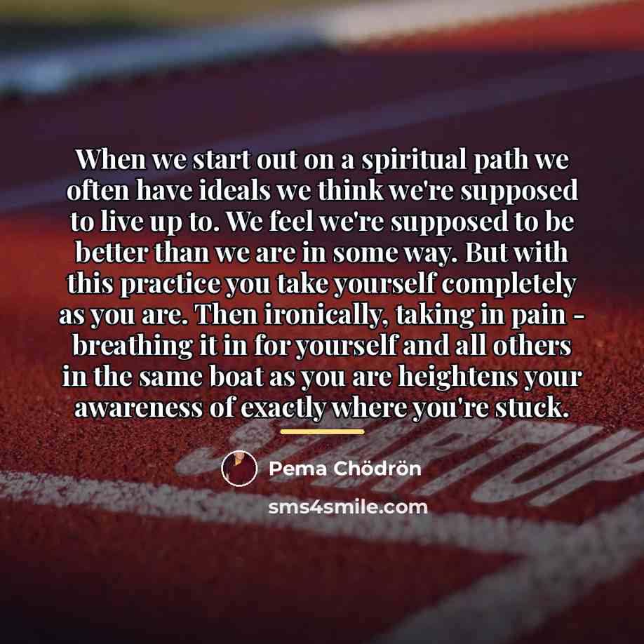 “When we start out on a spiritual path we often…” quote by Pema Chodron