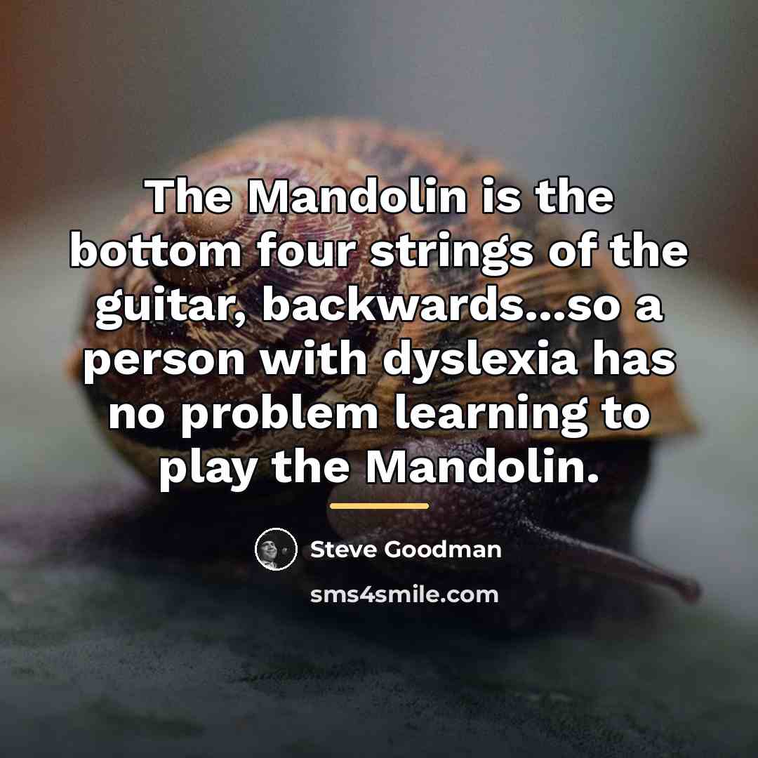 “The Mandolin is the bottom four strings of the guitar,…” quote by Steve Goodman