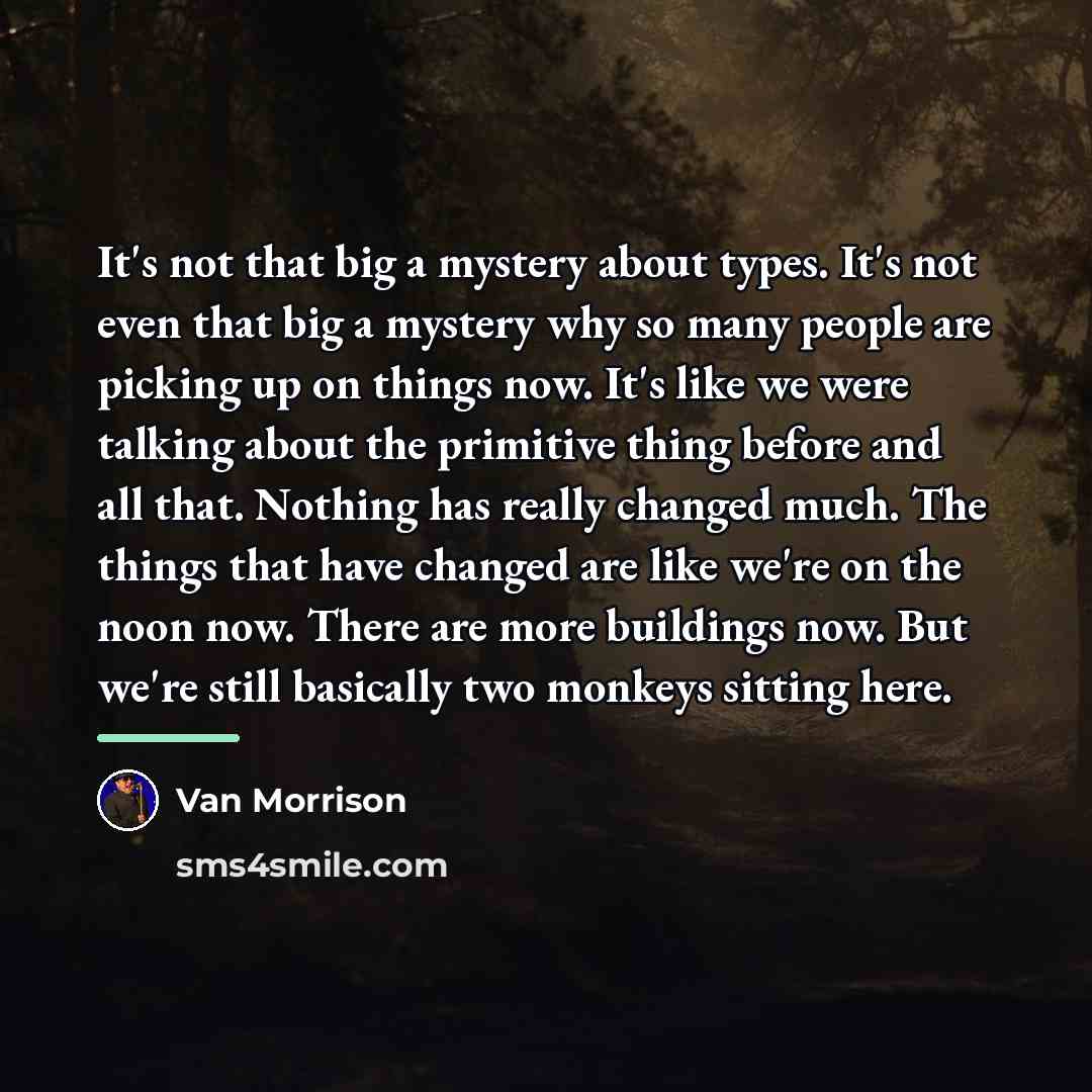 “It's not that big a mystery about types. It's not…” quote by Van Morrison
