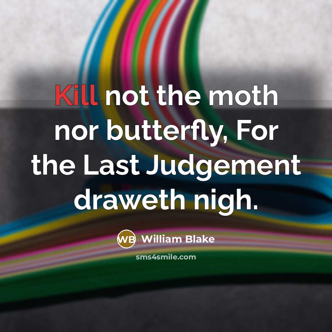 “Kill not the moth nor butterfly, For the Last Judgement…” quote by William Blake