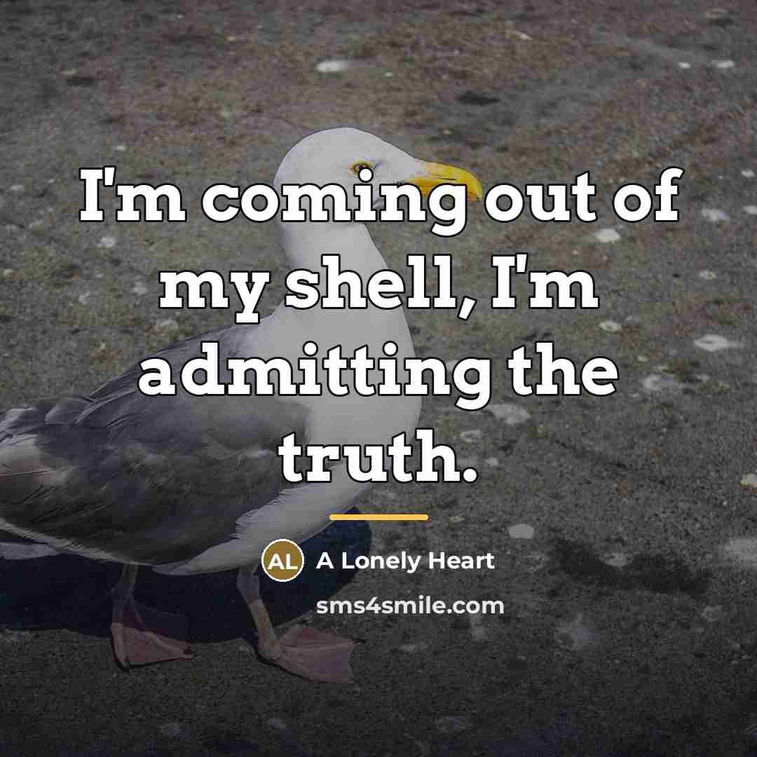 “I'm coming out of my shell, I'm admitting the truth.…” quote by A Lonely Heart