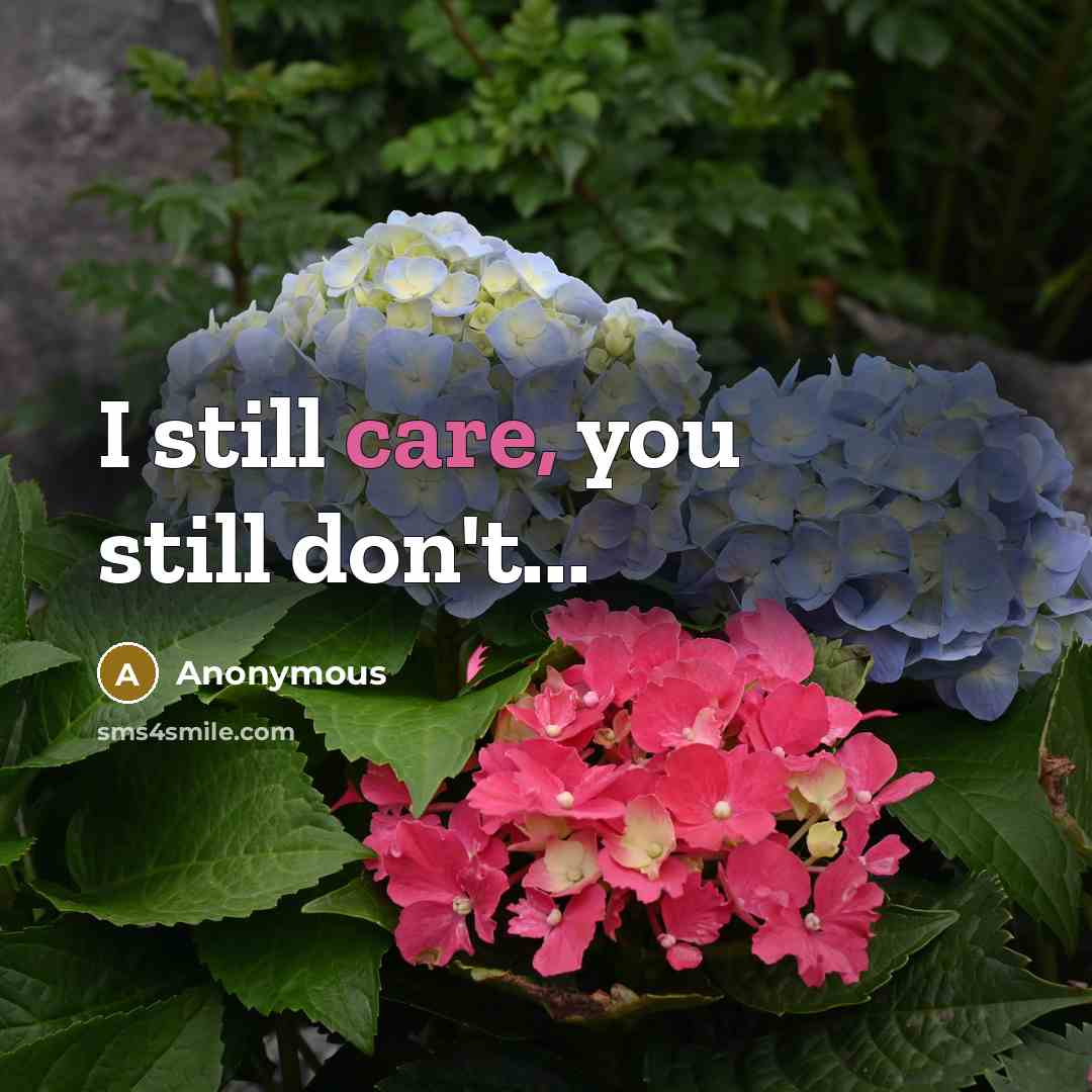 “I still care, you still don't...” quote by Anonymous