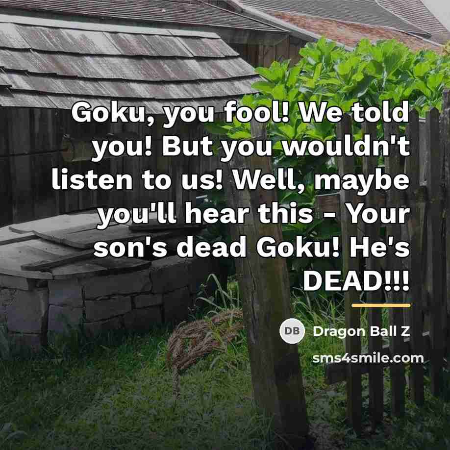 “Goku, you fool! We told you! But you wouldn't listen…” quote by Dragon Ball Z
