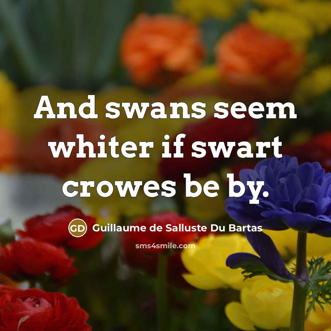 “And swans seem whiter if swart crowes be by.…” quote by Guillaume de Salluste Du Bartas