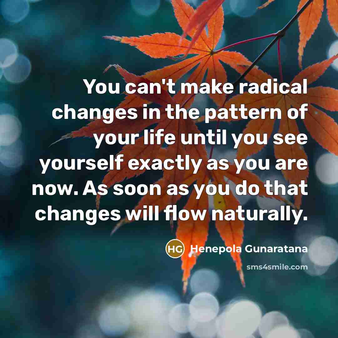 “You can't make radical changes in the pattern of your…” quote by Henepola Gunaratana