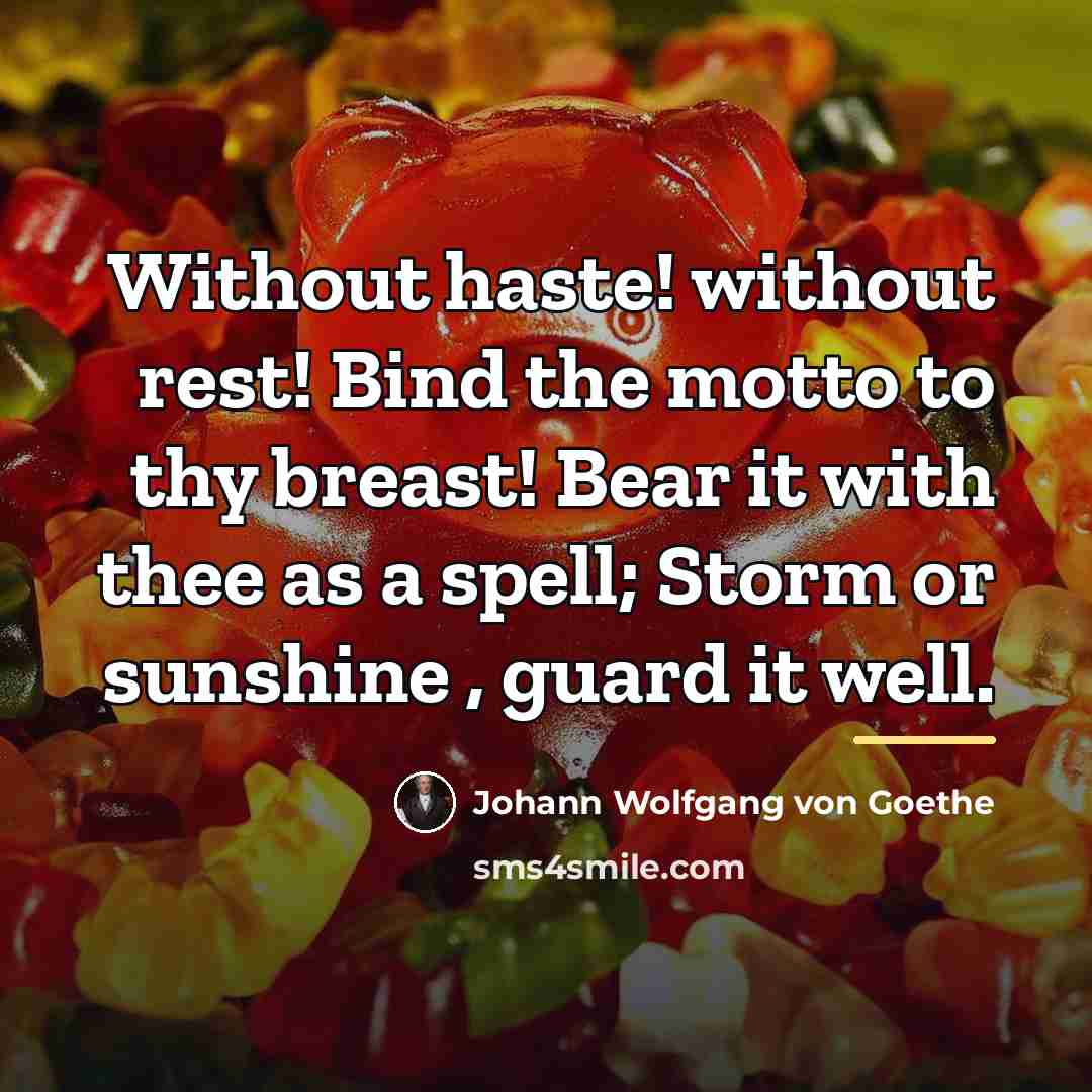 “Without haste! without rest! Bind the motto to thy breast!…” quote by Johann Wolfgang von Goethe