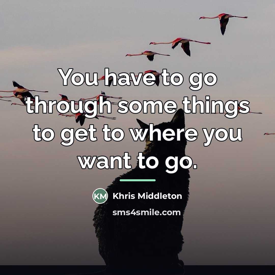 “You have to go through some things to get to…” quote by Khris Middleton