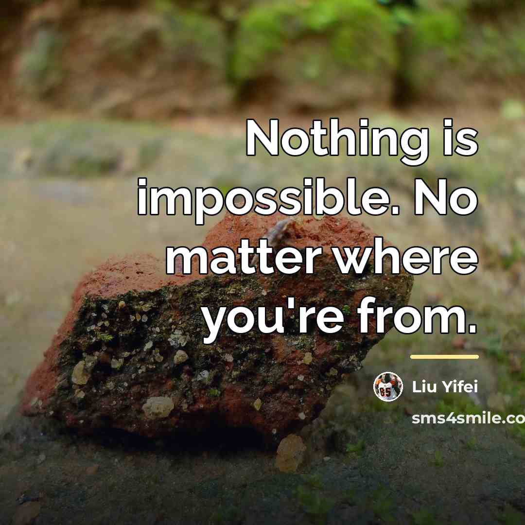 “Nothing is impossible. No matter where you're from.…” quote by Liu Yifei