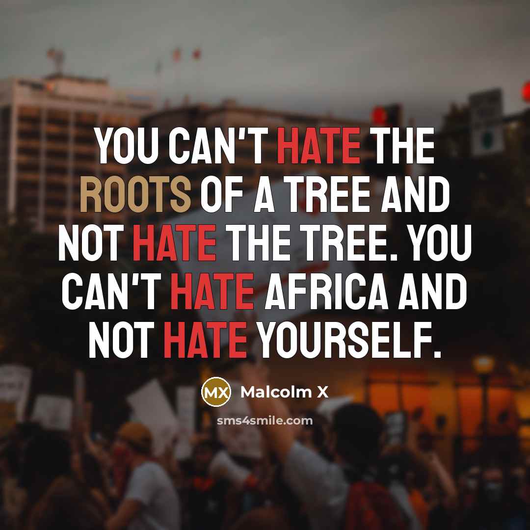 “You can't hate the roots of a tree and not…” quote by Malcolm X
