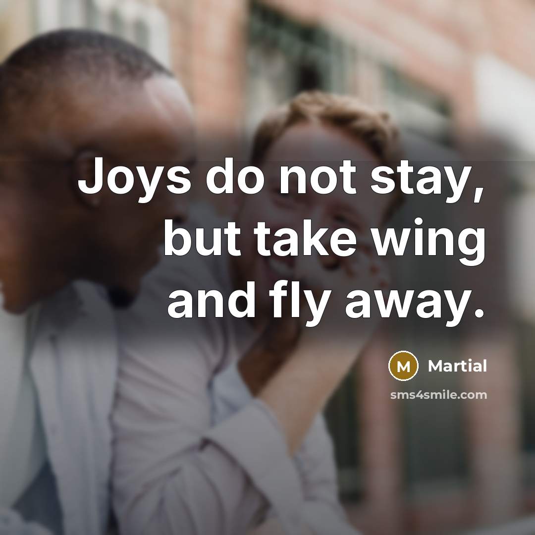 “Joys do not stay, but take wing and fly away.…” quote by Martial