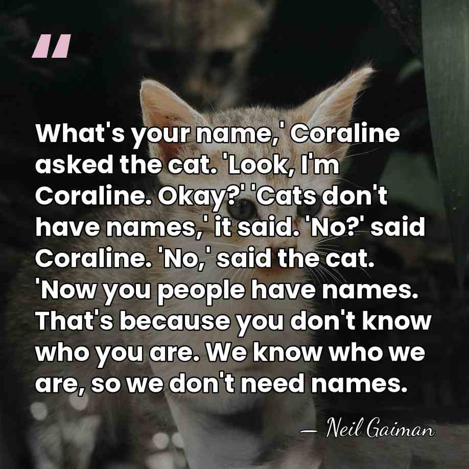 What's your name,' Coraline asked the cat. 'Look, I'm Coraline. Okay?' 'Cats&hellip; - Neil Gaiman