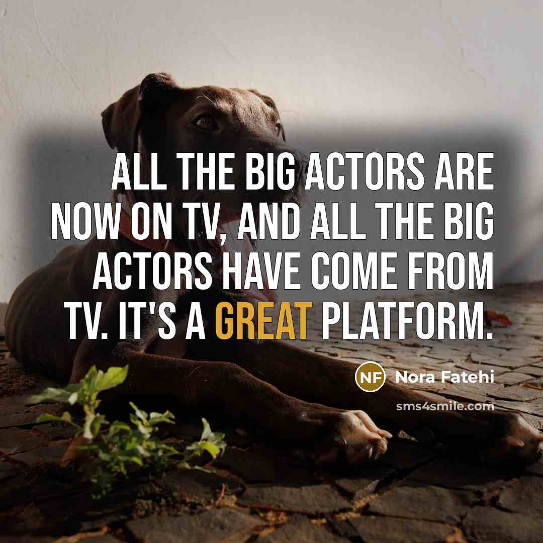 “All the big actors are now on TV, and all…” quote by Nora Fatehi